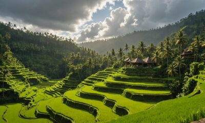 bali attractions beyond beaches