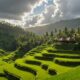 bali attractions beyond beaches