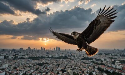 bird migration to israel