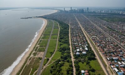 mangrove forest shrinking rapidly