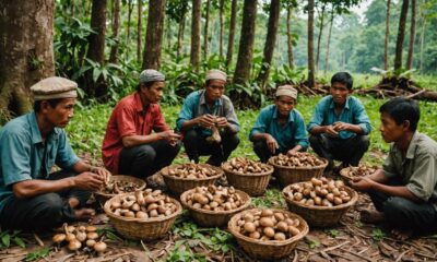 cianjur health crisis outbreak